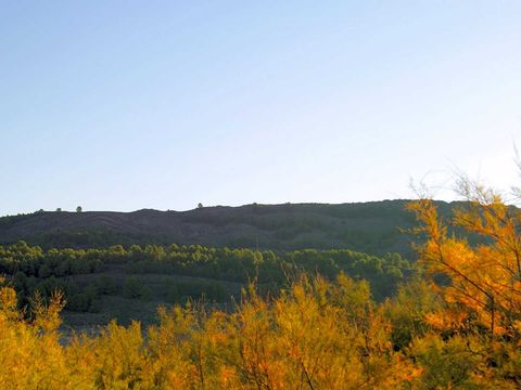 Camping Lago Resort - Camping Saragosse - Image N°29