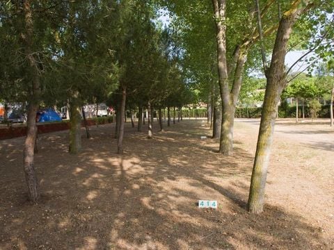 Emplacement - Emplacement Confort (70-75m²): voiture + tente/caravane ou camping-car + électricité 10A + WIFI