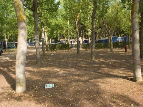 Emplacement - Emplacement Confort (70-75m²): voiture + tente/caravane ou camping-car + électricité 10A + WIFI