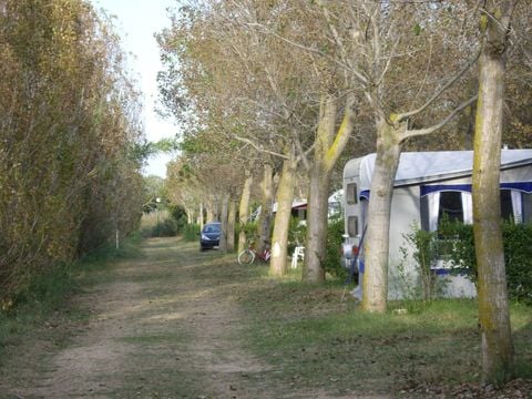 Emplacement - Emplacement Master XL (120m²): voiture + tente/caravane ou camping-car + électricité 10A +eau et évacuation des eaux usées + WIFI