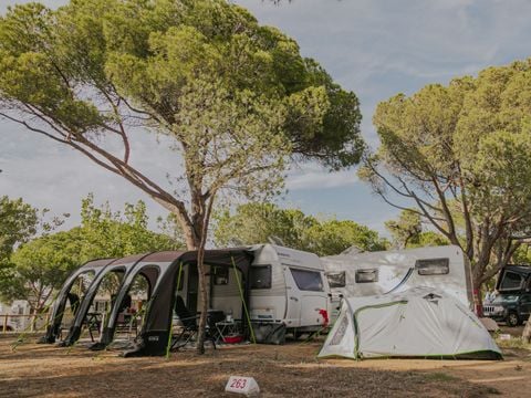 Emplacement - Pitch Master + (115m²): car + tent/caravan or camping-car + electricity 10A + water + wifi