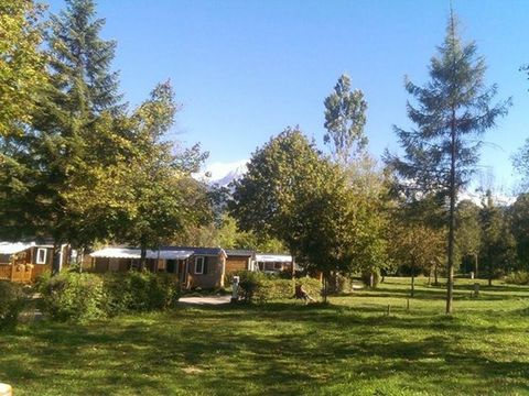 Flower Camping Les Iles - Camping Haute-Savoie - Image N°14
