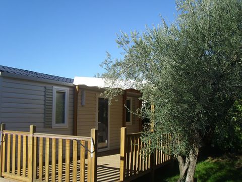 Camping Les Oliviers  - Camping Alpes-de-Haute-Provence - Image N°12