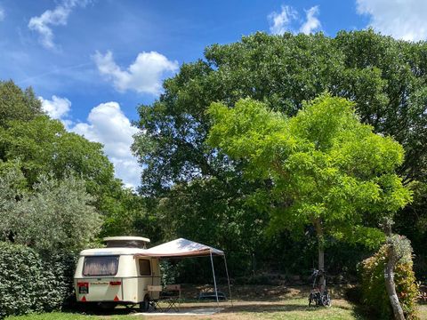 Camping Les Oliviers  - Camping Alpes-de-Haute-Provence - Image N°29