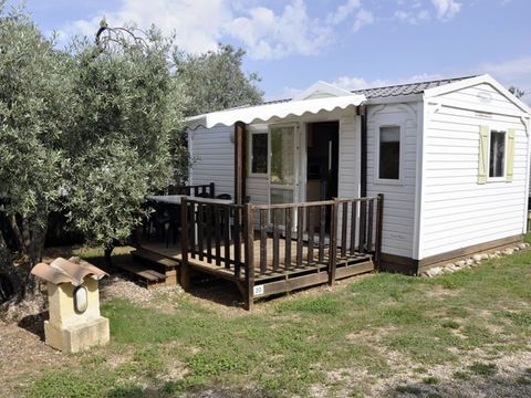 Camping Les Oliviers  - Camping Alpes-de-Haute-Provence - Image N°15