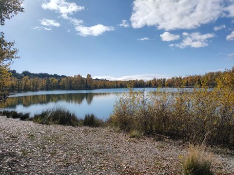 Camping Les Oliviers  - Camping Alpes-de-Haute-Provence - Image N°78