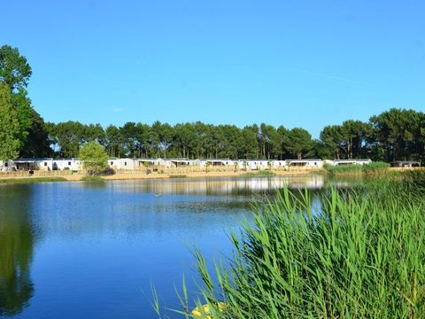 Camping Le Domaine d'Inly - Camping Morbihan - Image N°13