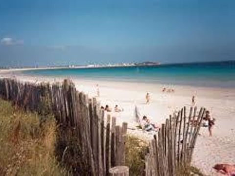 Flower Camping Cap Finistère - Camping Finistère - Image N°38