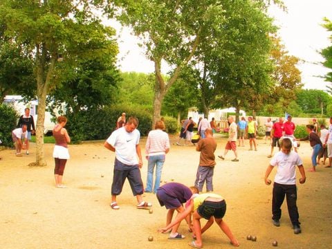 Flower Camping Cap Finistère - Camping Finistère