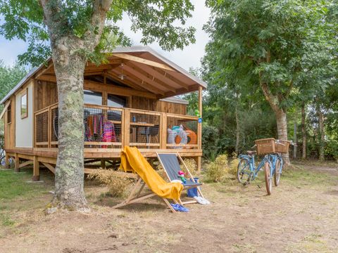 HÉBERGEMENT INSOLITE 5 personnes - Cosyflower Premium 38m² (2 chambres) + TV + lave-vaisselle + draps + serviettes + terrasse couverte | 4/5 personnes