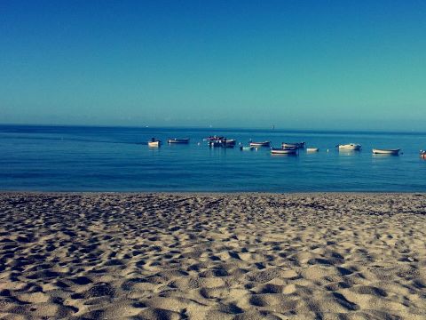 Flower Camping Cap Finistère - Camping Finistère - Image N°48