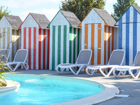 Flower Camping Cap Finistère - Camping Finistère - Image N°74