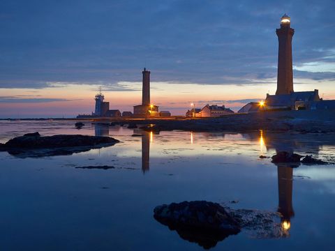 Flower Camping Cap Finistère - Camping Finistère - Image N°60