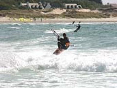 Flower Camping Cap Finistère - Camping Finistère - Image N°44