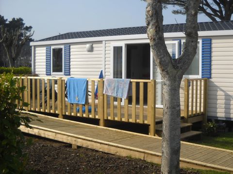 Flower Camping Cap Finistère - Camping Finistère - Image N°46