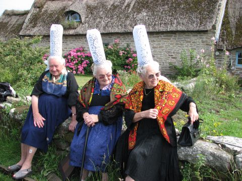 Flower Camping Cap Finistère - Camping Finistere - Image N°57