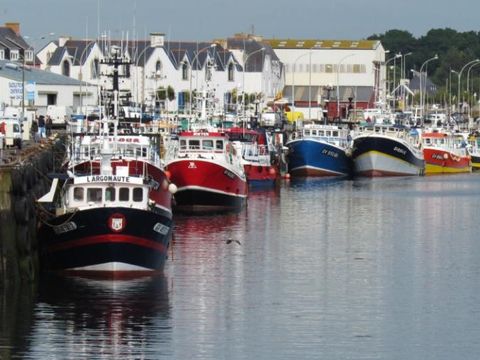 Flower Camping Cap Finistère - Camping Finistère - Image N°58