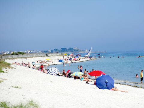 Flower Camping Cap Finistère - Camping Finistère - Image N°40