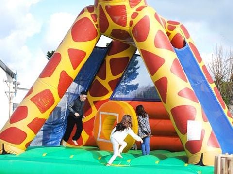 Flower Camping Cap Finistère - Camping Finistère