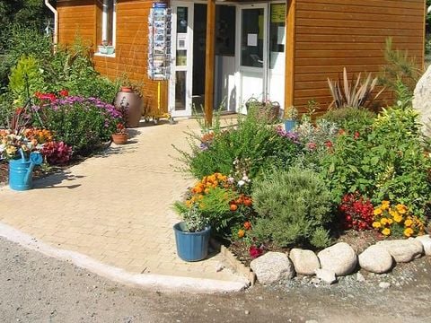 Flower Camping Cap Finistère - Camping Finistère