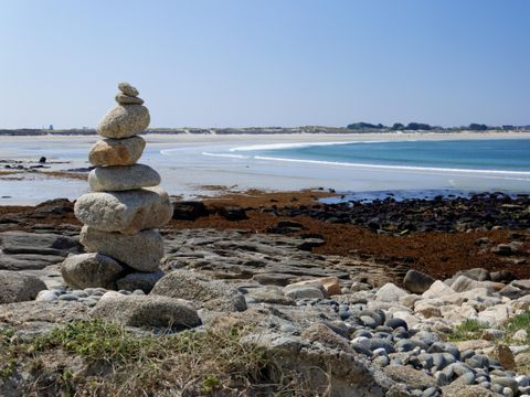 Flower Camping Cap Finistère - Camping Finistère - Image N°61