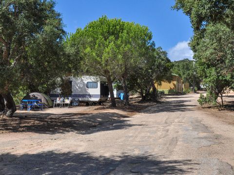 Camping Le Damier - Camping Corse du sud - Image N°17