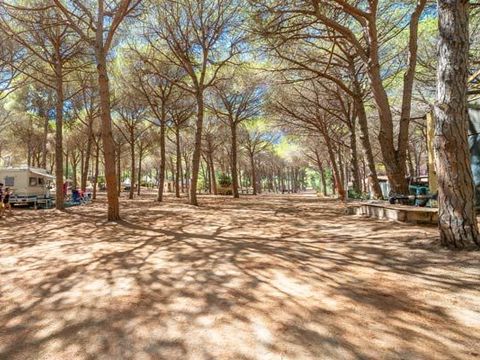 Emplacement - Emplacement Pinada pour camping-cars