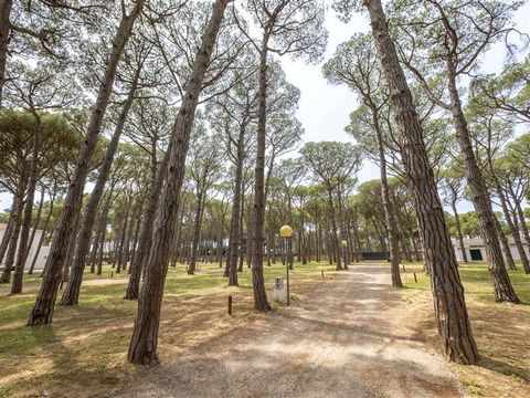 Emplacement - Emplacement Pinada Camper