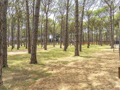 Emplacement - Parcelle Pinada Boutique