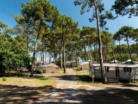 Camping Kevano Plage - Camping Corse du Sud - Image N°9