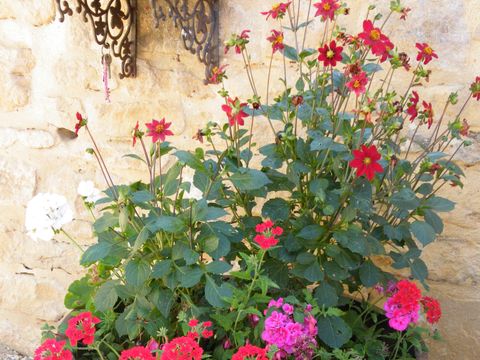 Camping Noix de Pecan'y - Camping Dordogne - Image N°21