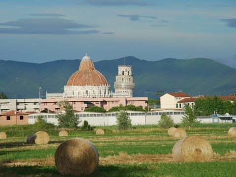 Camping Torre Pendente - Camping Pise - Image N°37