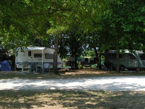 Camping Torre Pendente - Camping Pise - Image N°35