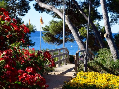 Camping Treumal  - Camping Gérone - Image N°17
