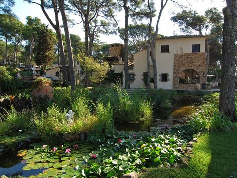 Camping Treumal  - Camping Gérone - Image N°25