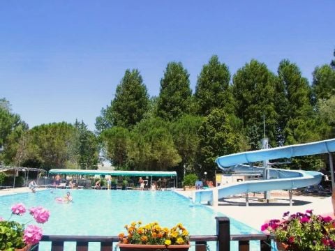 Camping Trasimeno  - Camping Pérouse
