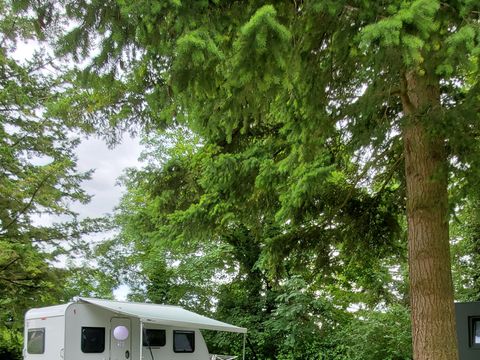 Emplacement - Forfait emplacement Prestige avec sanitaires privés