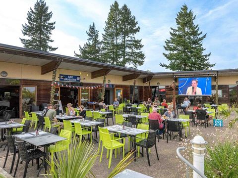 Camping de la Liez - Ciela Village Camping de la Liez - Ciela Village - Camping Haute-Marne - Image N°31