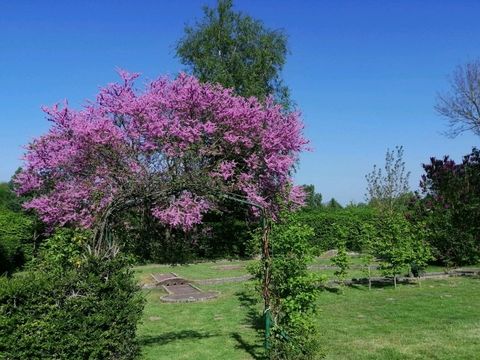 Camping Sites et Paysages - Camping de la Baie - Camping Somme - Image N°17