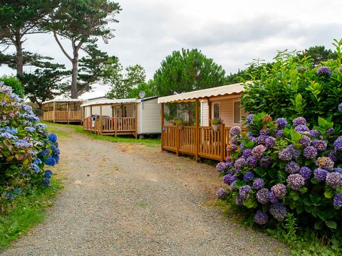 FLOWER Camping le Port de la Chaîne - Camping Côtes-d'Armor - Image N°20