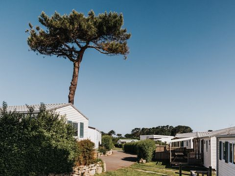 Camping Liberté Landrellec - Camping Côtes-d'Armor - Image N°37