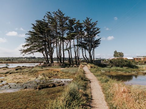 Camping Liberté Landrellec - Camping Côtes-d'Armor - Image N°27