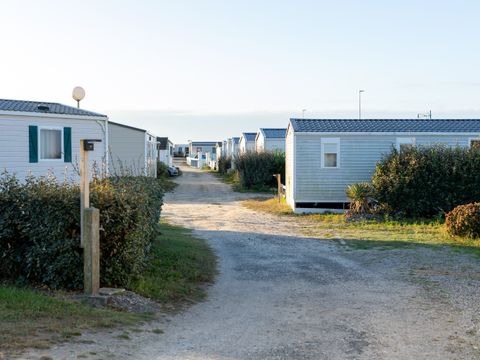 Camping Paradis - La Baie de Ploemeur - Camping Morbihan - Image N°13