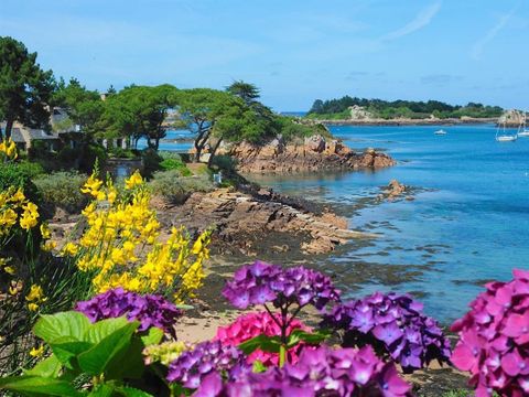 Camping West  - Camping Côtes-d'Armor - Image N°53
