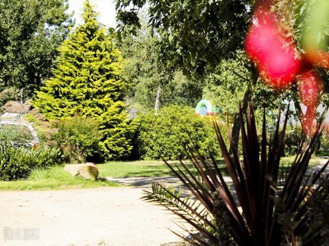 Camping Baie de Terenez - Camping Finistere - Image N°23