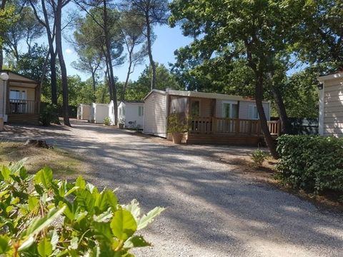 Mobilhome 4 personnes - Maxi Confort - IRM Visio - 3 chambres - CLIM