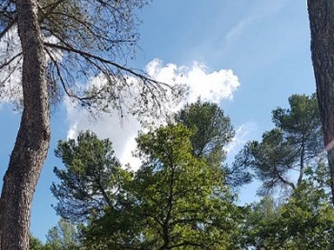 MOBILHOME 4 personnes - Grand Confort O'Hara 734 4 pers 2Ch