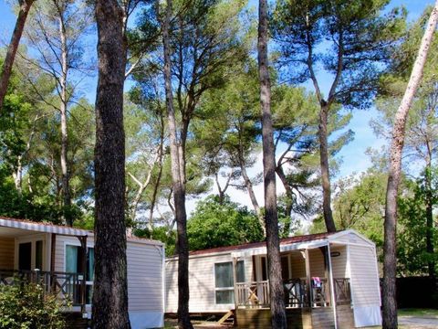 Camping Le Devancon - Camping Bouches-du-Rhone - Image N°15