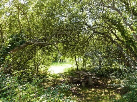 Camping maeva Respire Le Domaine de Mesqueau - Camping Finistère - Image N°21