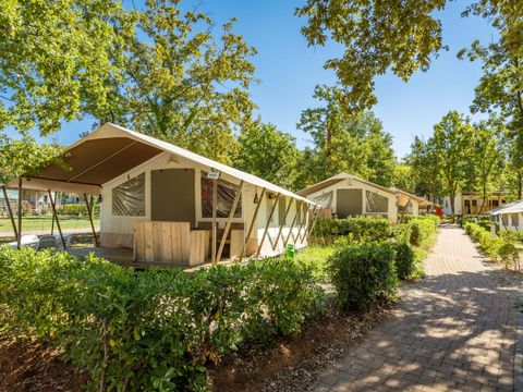 TENTE TOILE ET BOIS 4 personnes - Bijela Uvala - Tente safari + sanitaires